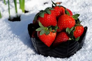 Eating Raw Fruits During Winter