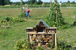 The Sacred Path of Vegan Permaculture